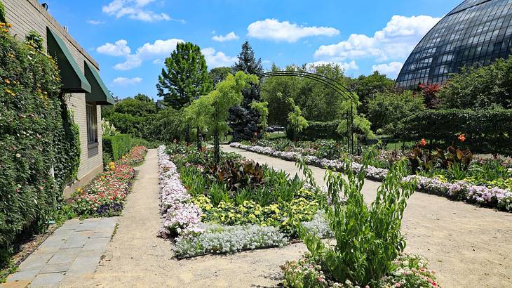 A garden with flower beds, a path, and trees