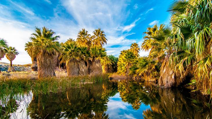 The Sunshine State is one of the iconic nicknames for California