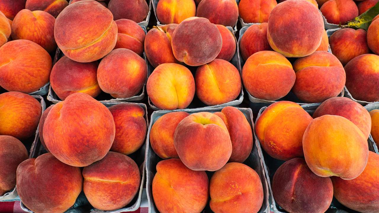Close-up of peaches arranged in boxes