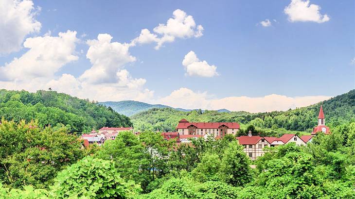 Aerial shot of a village of houses surrounded by many trees