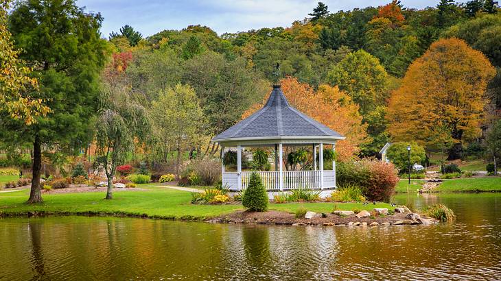 A gazebo near a lake in a park during autumn