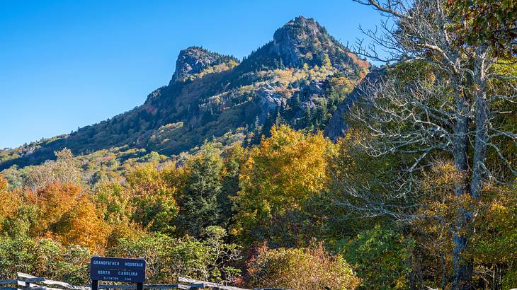 A lush mountain with a forest at its foot during the fall