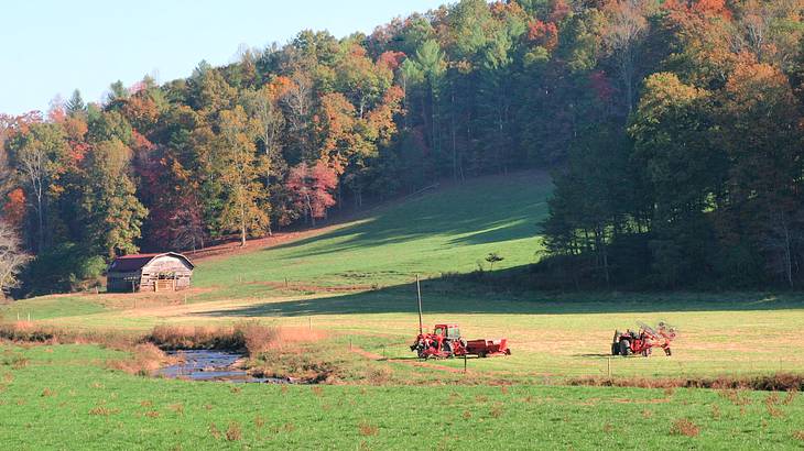 Red tractors in a field near a barn and a forested mountain