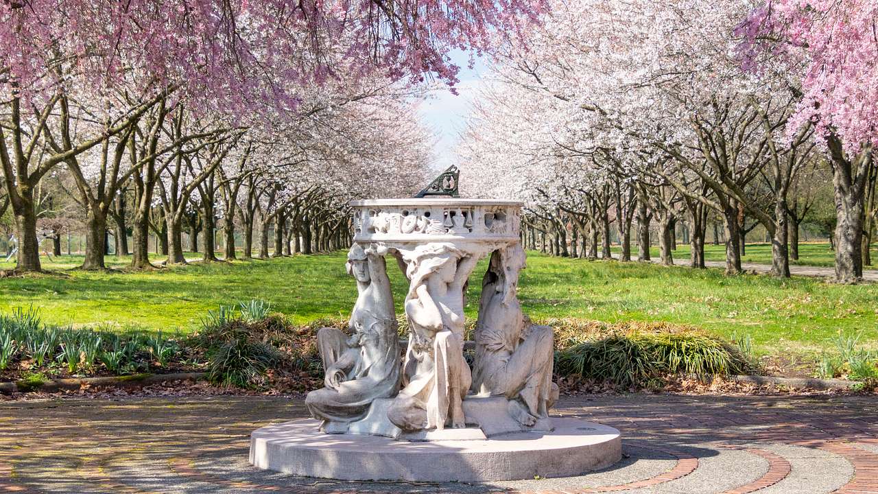 A sundial with a base statue in a park with many cherry blossom trees