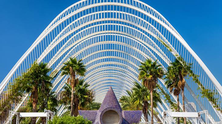 White arches and tall palm trees at the City of Arts and Sciences in Valencia, Spain