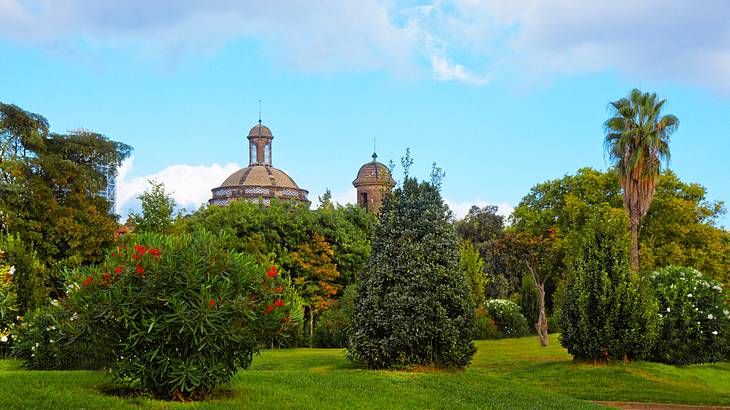 Greenery and trees at Ciutadella Park, Barcelona, Spain