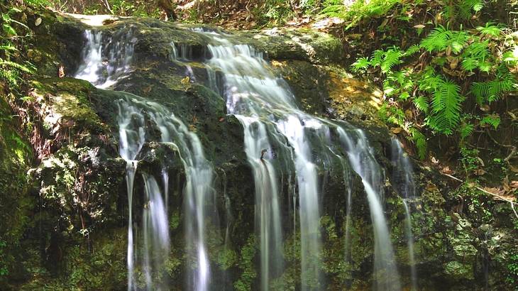 Cascading streams of water falling over a small rugged cliff