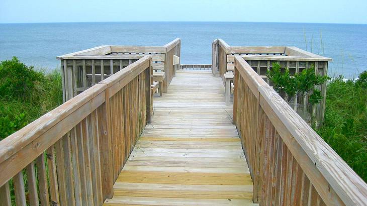 A wooden walkway with railings surrounded by greenery leading to to a beach
