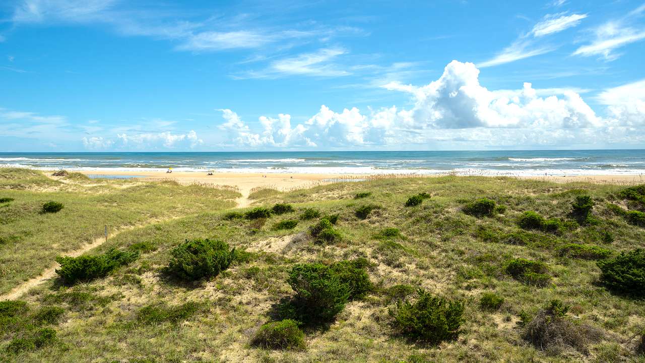 A grassy area with shrubs leading to a beach under a partially cloudy sky