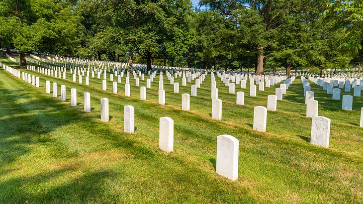 Looking at white headstones lined up on a green field against green trees