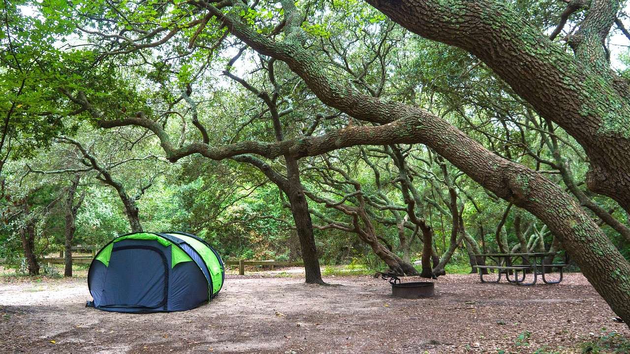 A camping tent under the shade of multiple trees having wide branches and lush leaves