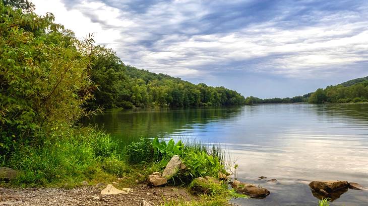 A lake with rocks on the shore and green trees around it