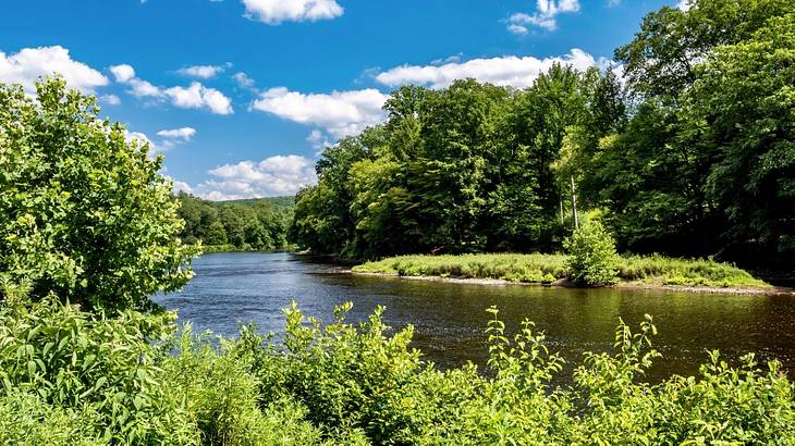 A river running through greenery under a blue sky with clouds