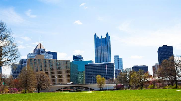 Green grass with fall trees on the edge and skyscrapers in the background