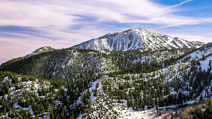 A mountain with snow and alpine trees on it under a purple and blue sky