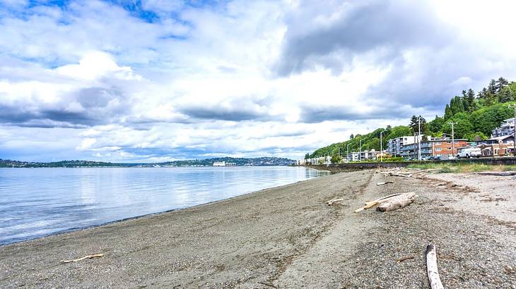 A beach shore and seawater and some trees and buildings in the distance