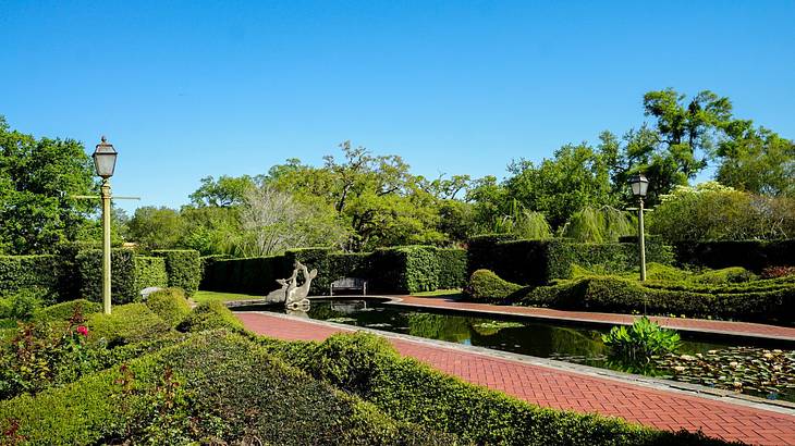 A garden with a pond nestled amidst plants and trees under a clear blue sky