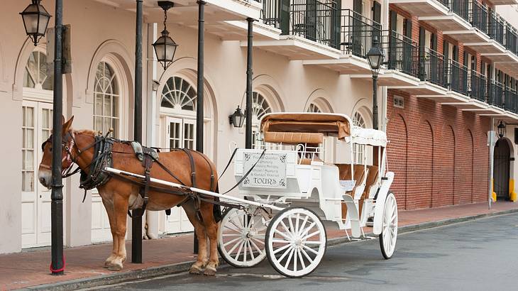A horse and carriage in front of an old-fashioned building