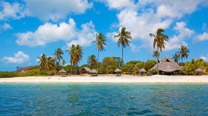 Ocean next to white sand with palm trees and beach huts on it