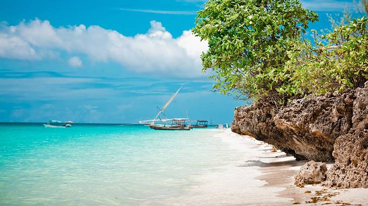 Blue water over white sand next to a tree under a blue sky with white clouds