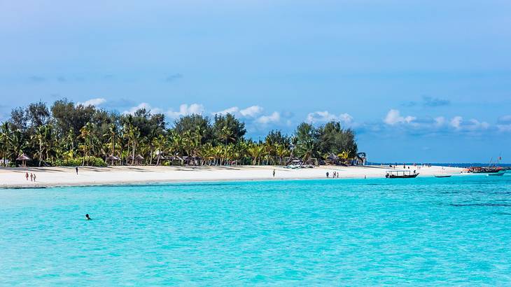 Bright blue ocean next to a sandy shore and green trees