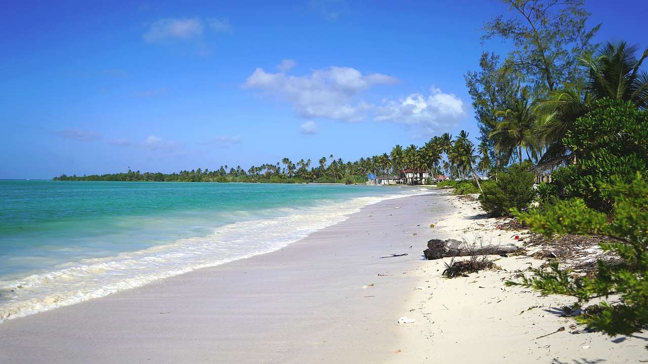 A sandy beach with greenery on one side and ocean on the other