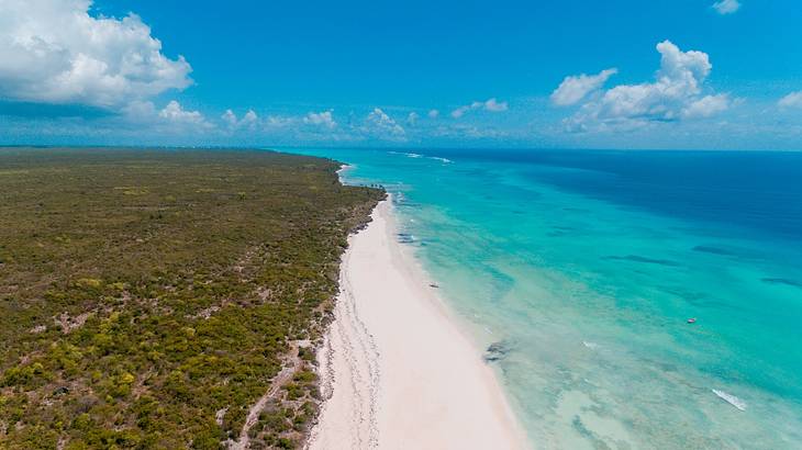 Bright blue ocean next to a stretch of white sand and greenery