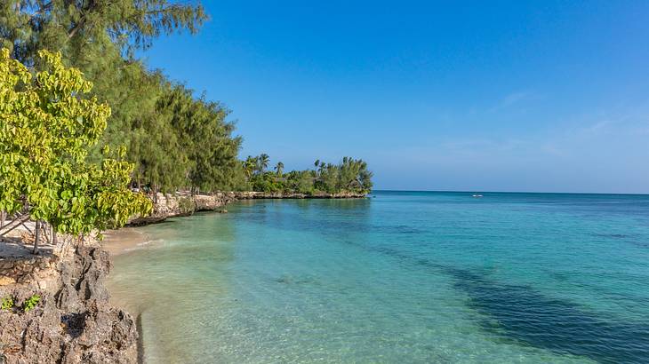 Clear turquoise water next to rocks and green trees under a bright blue sky