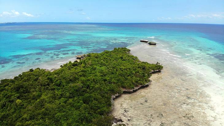 Lush greenery surrounded by clear blue water and sand