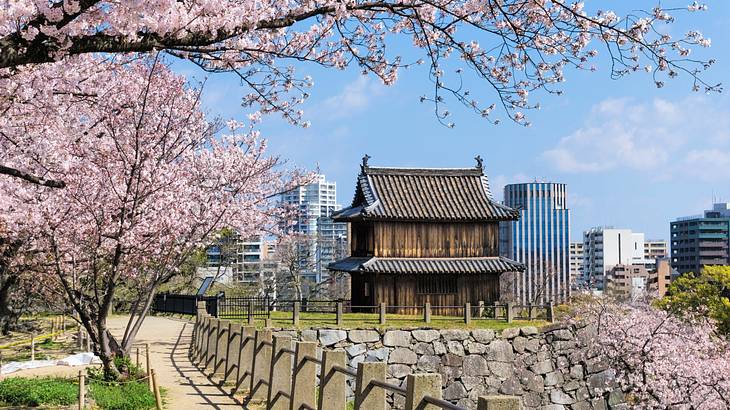 An old-fashioned Japanese castle near cherry blossom trees and a city skyline