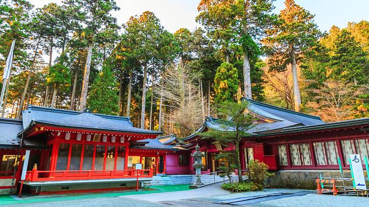 Red shrines next to tall trees