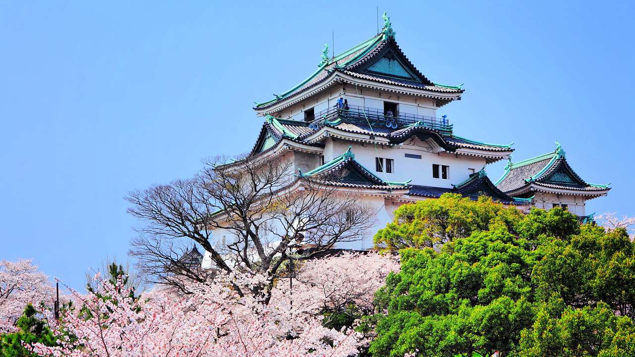 A white tower castle with green roofs near green trees and cherry blossoms
