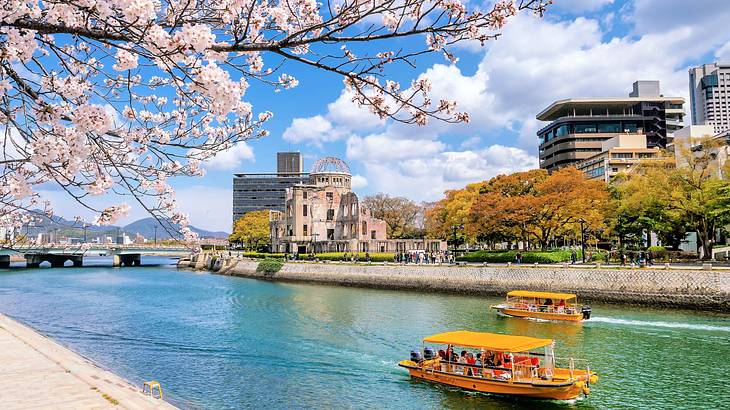 Two yellow boats crossing a river near a cherry blossom tree and buildings