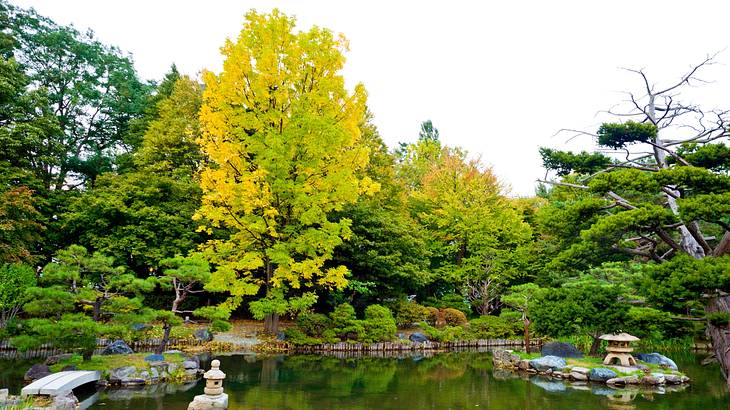 An artifical pond in a landscaped garden surrounded by trees