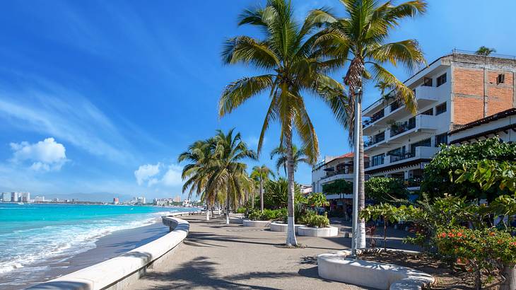 A paved walkway by the beach near buildings and palm trees