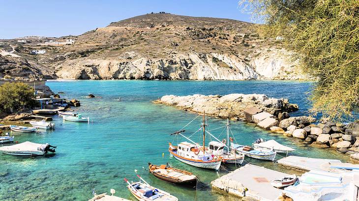 Fishing boats docked by a port near rocks and trees with a mountain in the background