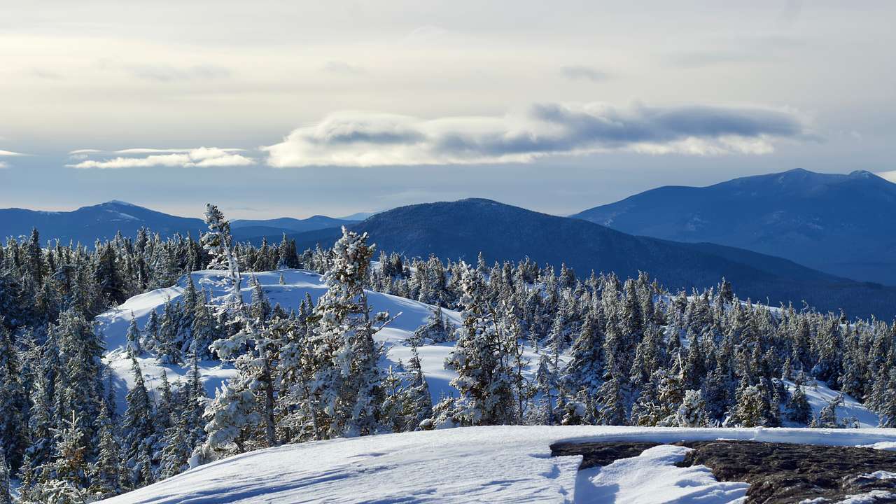 Snow-covered mountains with pine trees
