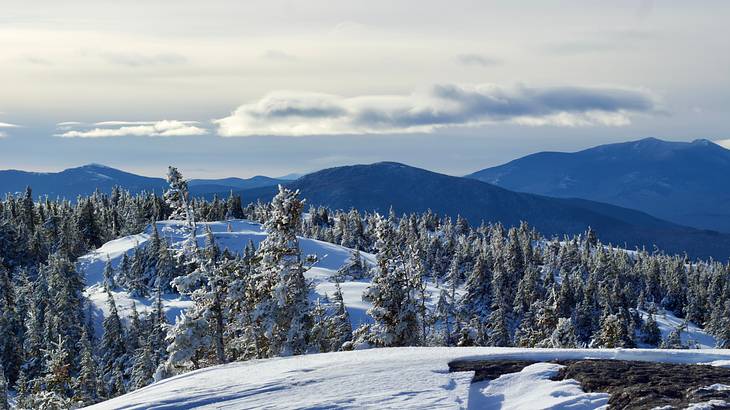 Snow-covered mountains with pine trees