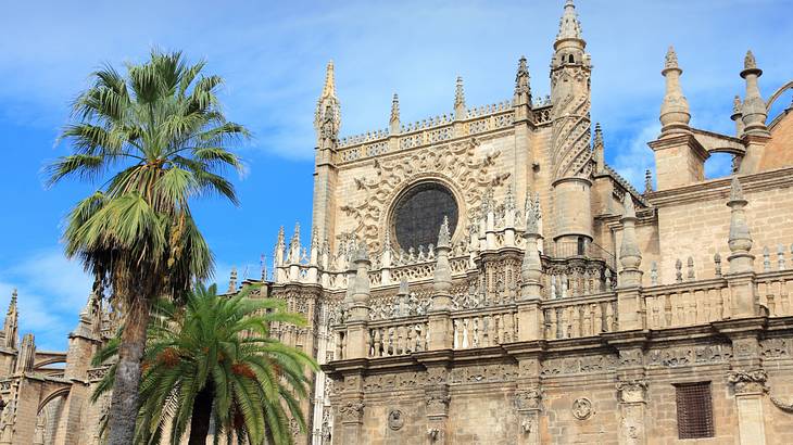 The outside facade of a Roman Catholic cathedral with palm trees on the right