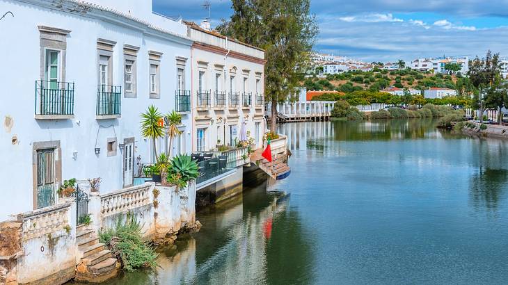 Houses and trees by a body of water