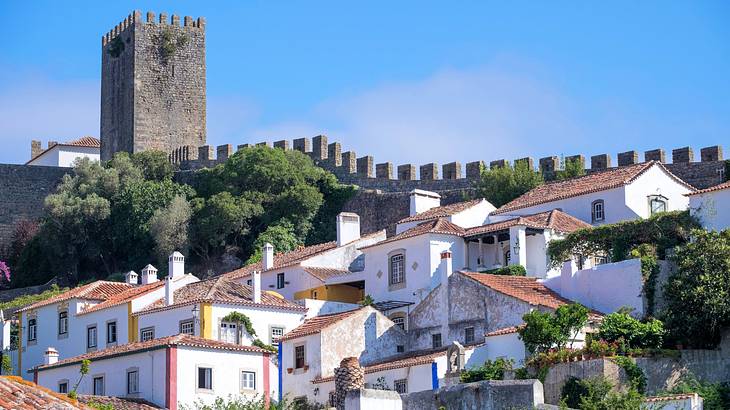 Walls of a medieval castle surrounded by houses with tiled roofs