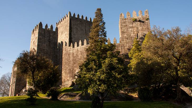 A medieval stone castle with rectangular towers next to grass and trees