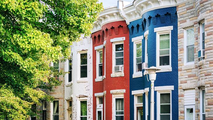 Facade of colorful adjacent houses near a tree in the foreground