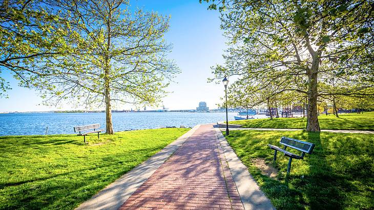 A bricked walkway surrounded by grass, trees, and a park bench near a body of water