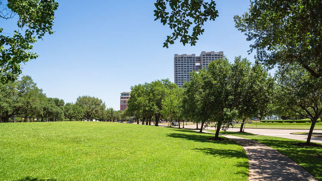 City buildings in the background with green grass and trees in the foreground