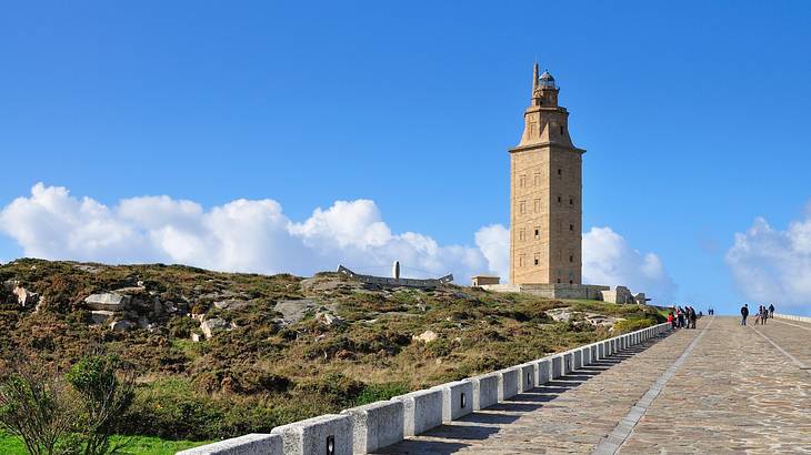 A tall tower at the back with shrubs and a pathway in front