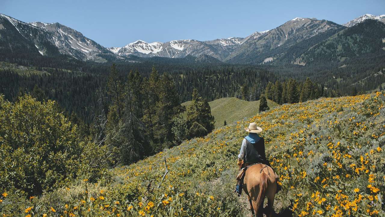 A man riding a horse amidst flowers and greenery with mountains in the distance