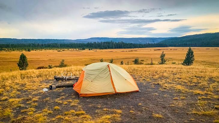 A tent on the ground with trees in the distance under the sky at sunset