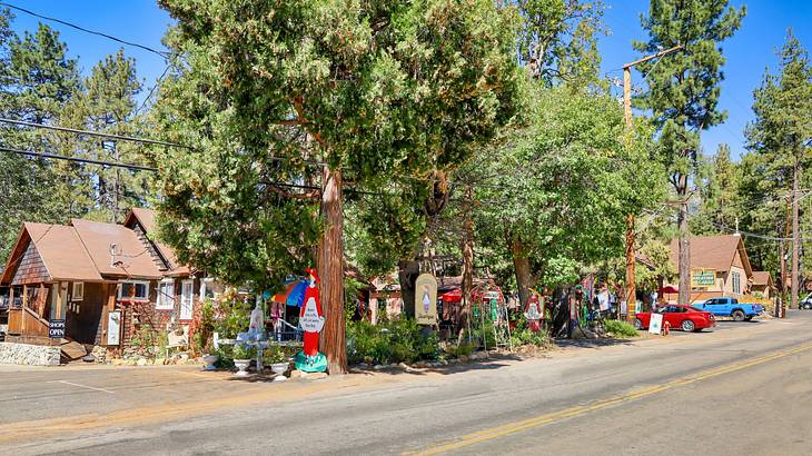 A street with green trees and small buildings under a blue sky