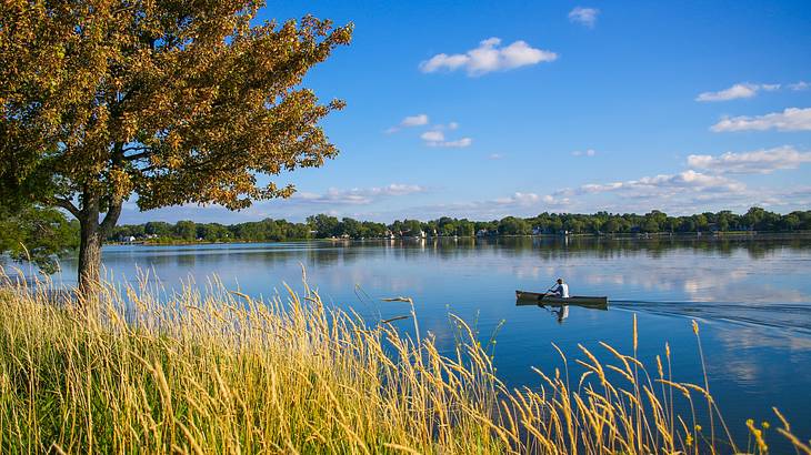 A man canoeing in a lake near trees with grass in the foreground